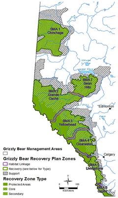 Working Together for Grizzly Bears: A Collaborative Approach to Estimate Population Abundance in Northwest Alberta, Canada